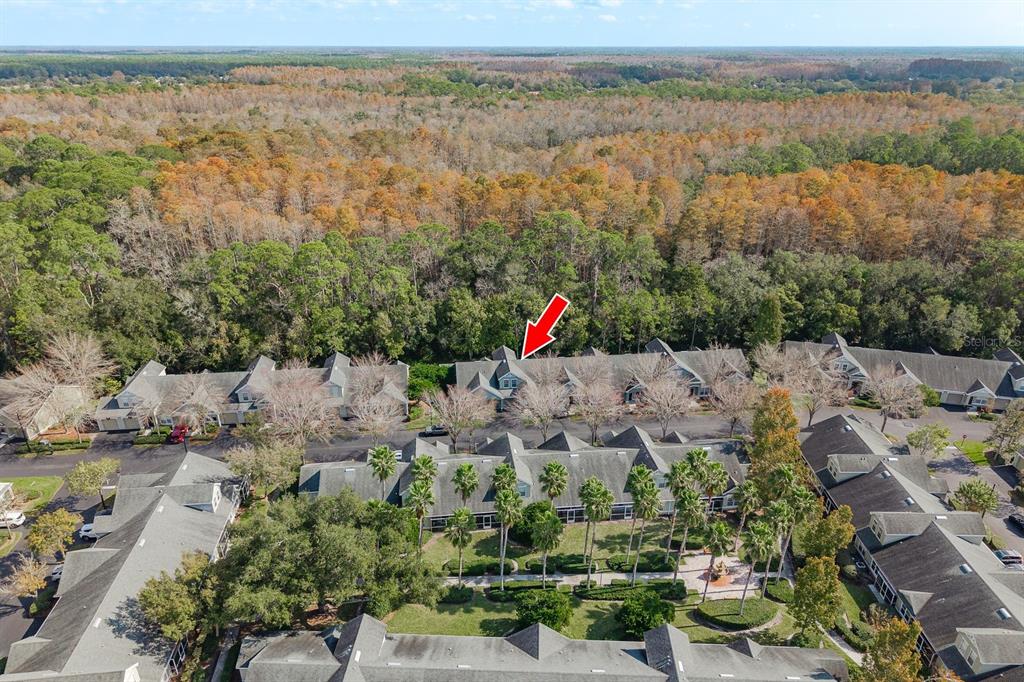 3521 Kings Road, Unit 102 Palm Harbor, FL 34685 - Photo 29 of 50 a view of outdoor space and city view