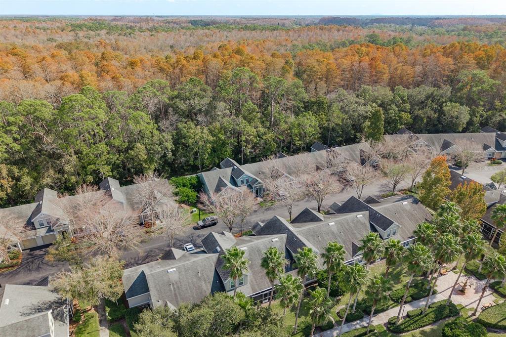 3521 Kings Road, Unit 102 Palm Harbor, FL 34685 - Photo 32 of 50 an aerial view of house with yard and mountain view in back
