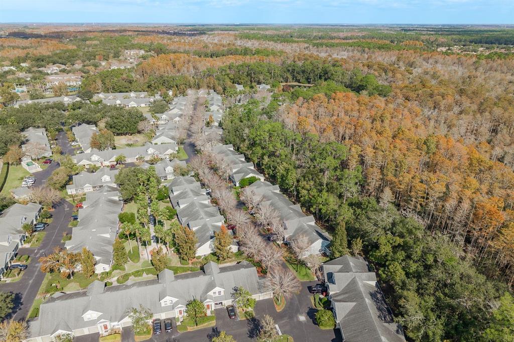 3521 Kings Road, Unit 102 Palm Harbor, FL 34685 - Photo 34 of 50 a view of city and ocean