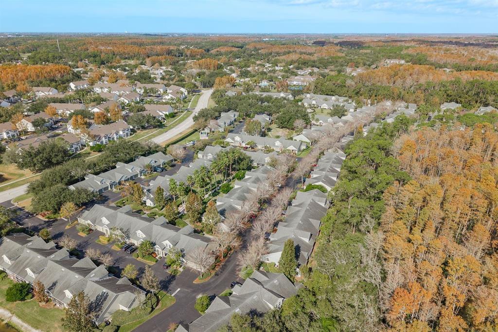 3521 Kings Road, Unit 102 Palm Harbor, FL 34685 - Photo 35 of 50 an aerial view of residential building and green space