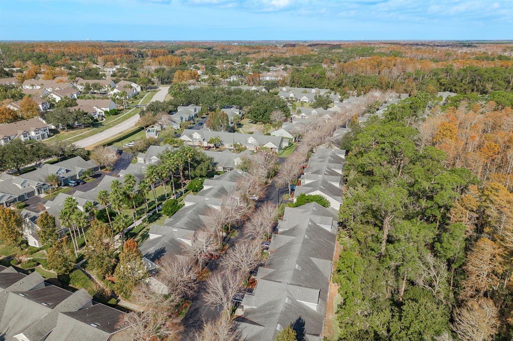 3521 Kings Road, Unit 102 Palm Harbor, FL 34685 - Photo 36 of 50 an aerial view of multiple house