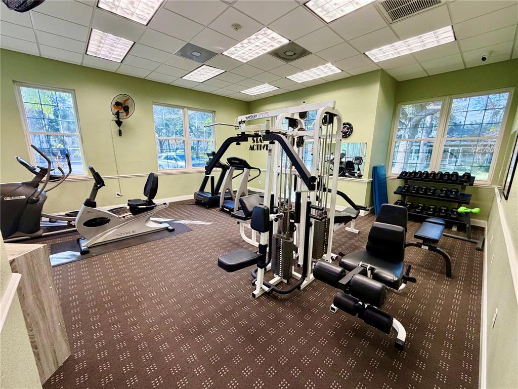 3521 Kings Road, Unit 102 Palm Harbor, FL 34685 - Photo 40 of 50 a view of a room with gym equipment
