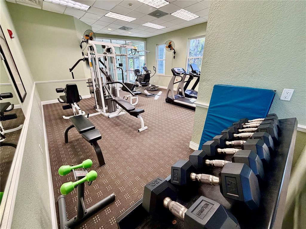 3521 Kings Road, Unit 102 Palm Harbor, FL 34685 - Photo 41 of 50 a view of a room with gym equipment