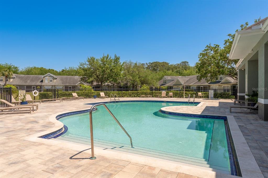 3521 Kings Road, Unit 102 Palm Harbor, FL 34685 - Photo 45 of 50 a view of a swimming pool with a patio