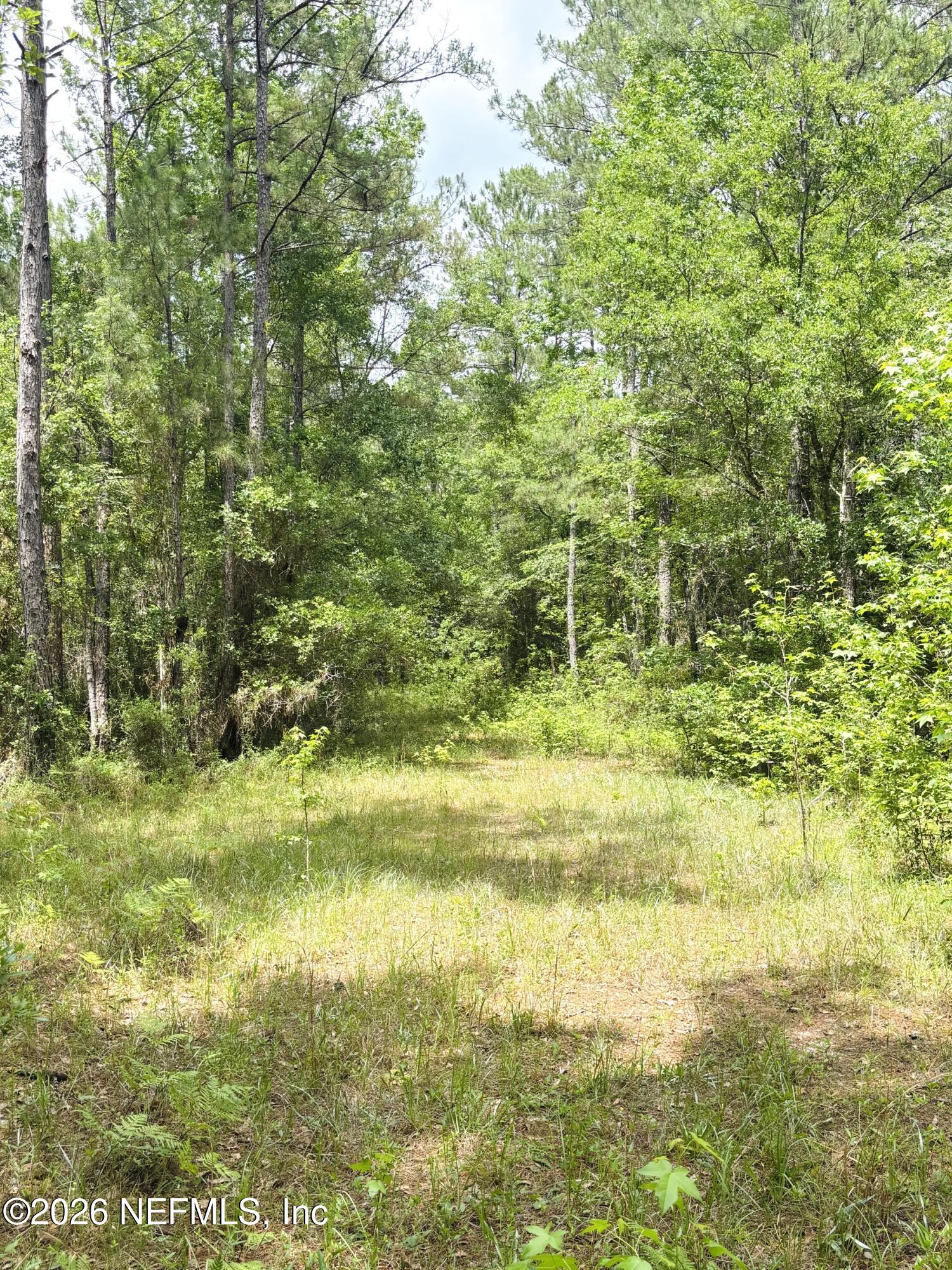 0 Lake Hampton Road Hilliard, FL 32046 - Photo 16 of 23 a view of beach with yard
