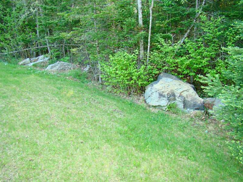 566 Ridge Drive Hermon, ME 04401 - Photo 8 of 26 Yard/Garden.
