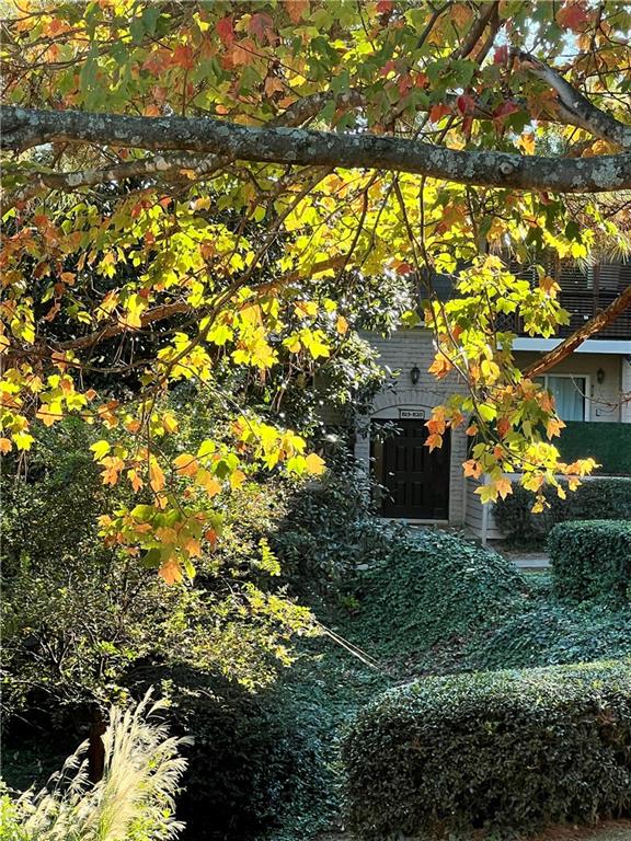 2805 Northeast Expressway Northeast, Unit B13 Atlanta, GA 30345 - Photo 60 of 69 a picture of tree