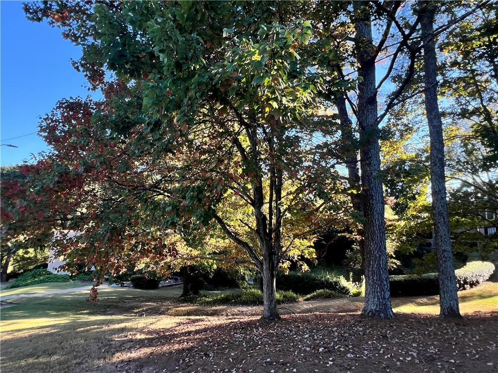 2805 Northeast Expressway Northeast, Unit B13 Atlanta, GA 30345 - Photo 66 of 69 a backyard of a house with lots of green space
