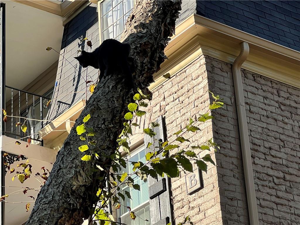 2805 Northeast Expressway Northeast, Unit B13 Atlanta, GA 30345 - Photo 67 of 69 a view of a house with a tree