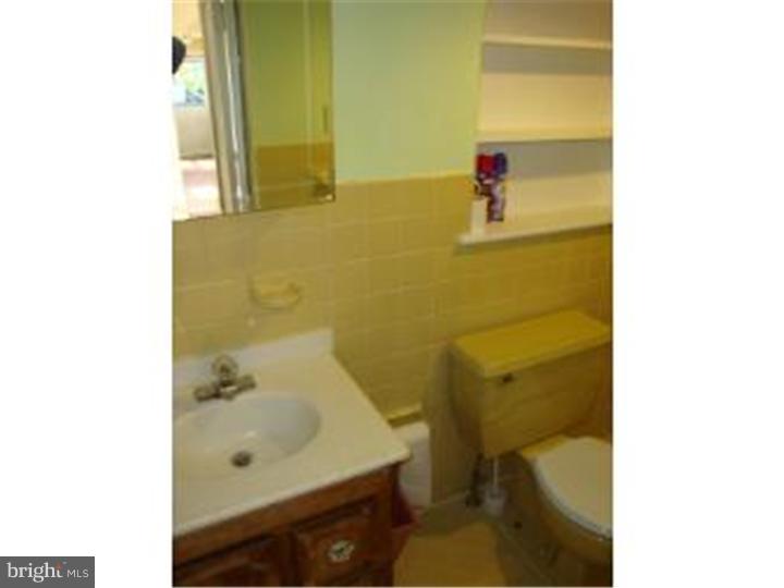 219 Harrogate Road Wynnewood, PA 19096 - Photo 12 of 20 Bathroom