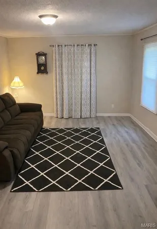 $74,900 | 304 North Anderson Avenue, Gideon, MO 63848