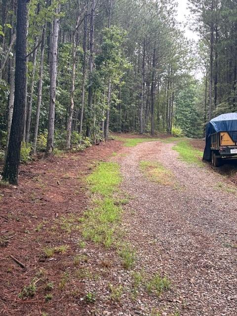 3199 Big Ridge Road Talking Rock, GA 30175 - Photo 9 of 25 a view of backyard with trees
