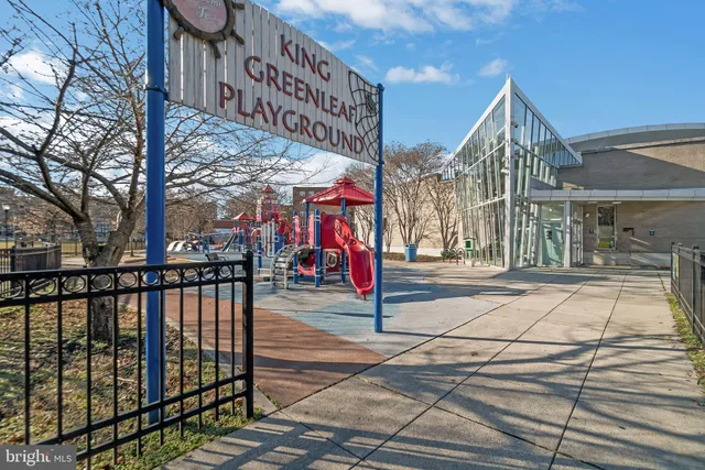 a view of a yard with a large tree