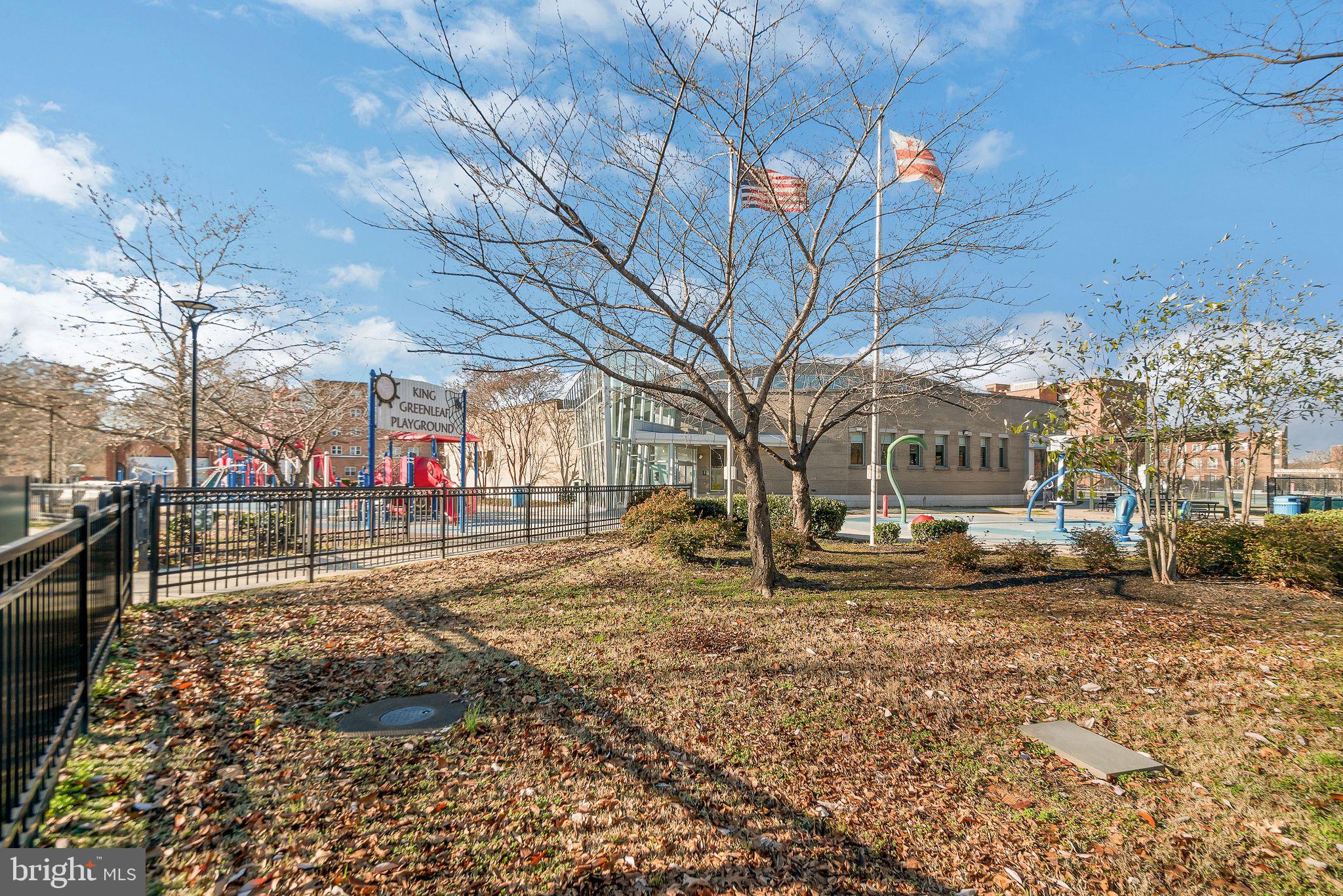 1515 First Street Southwest Washington, DC 20024 - Photo 34 of 37 a view of a yard with a large tree