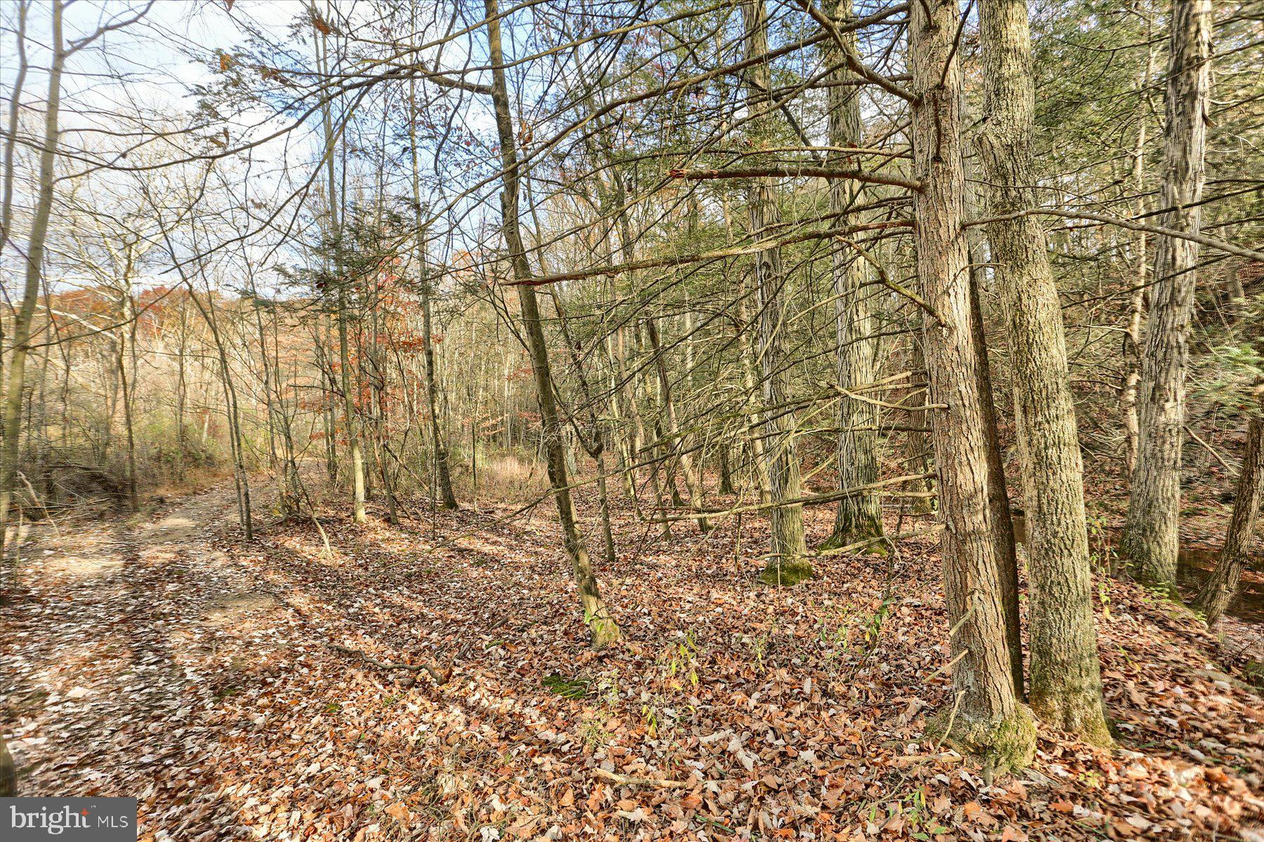 Lot 2 Union Deposit Road Harrisburg, PA 17111 - Photo 11 of 25 Gallery Image 11