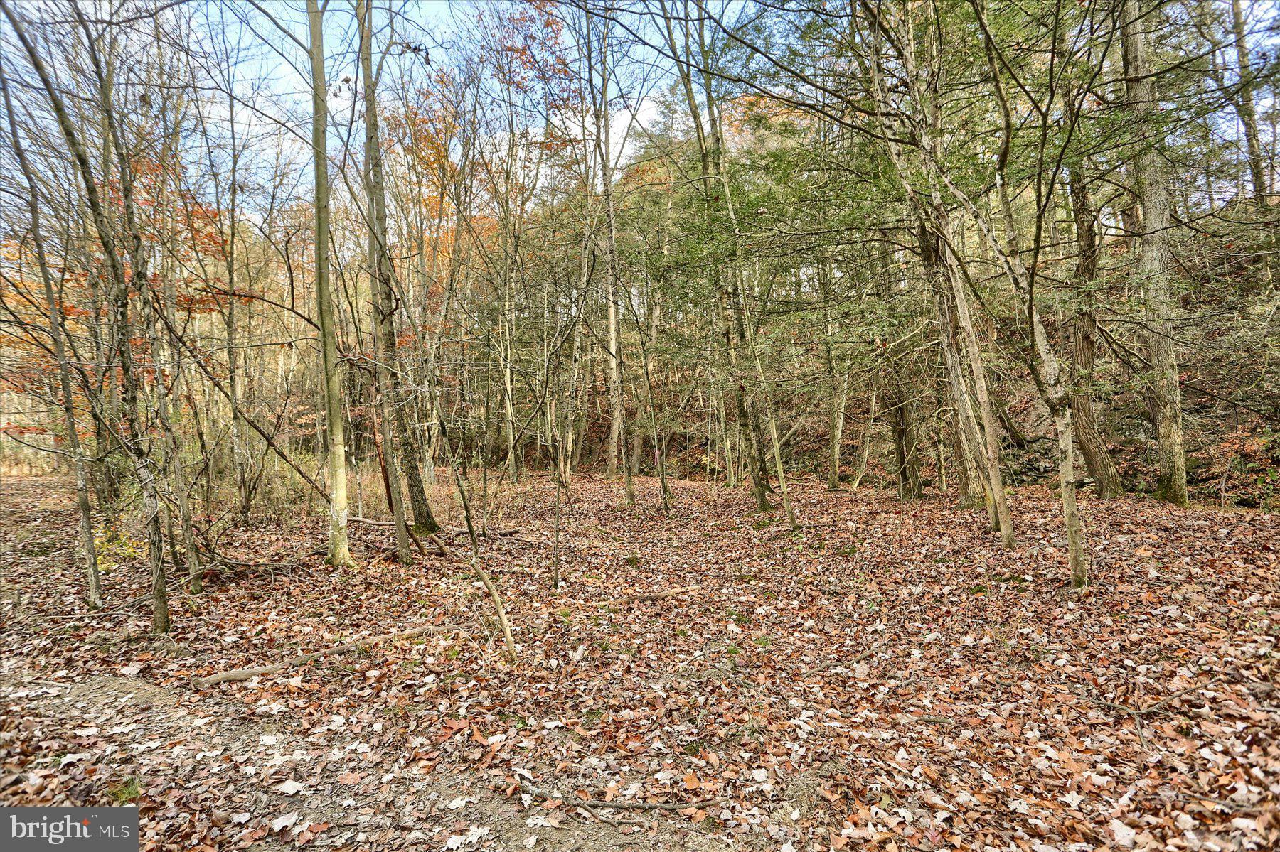 Lot 2 Union Deposit Road Harrisburg, PA 17111 - Photo 12 of 25 Gallery Image 12