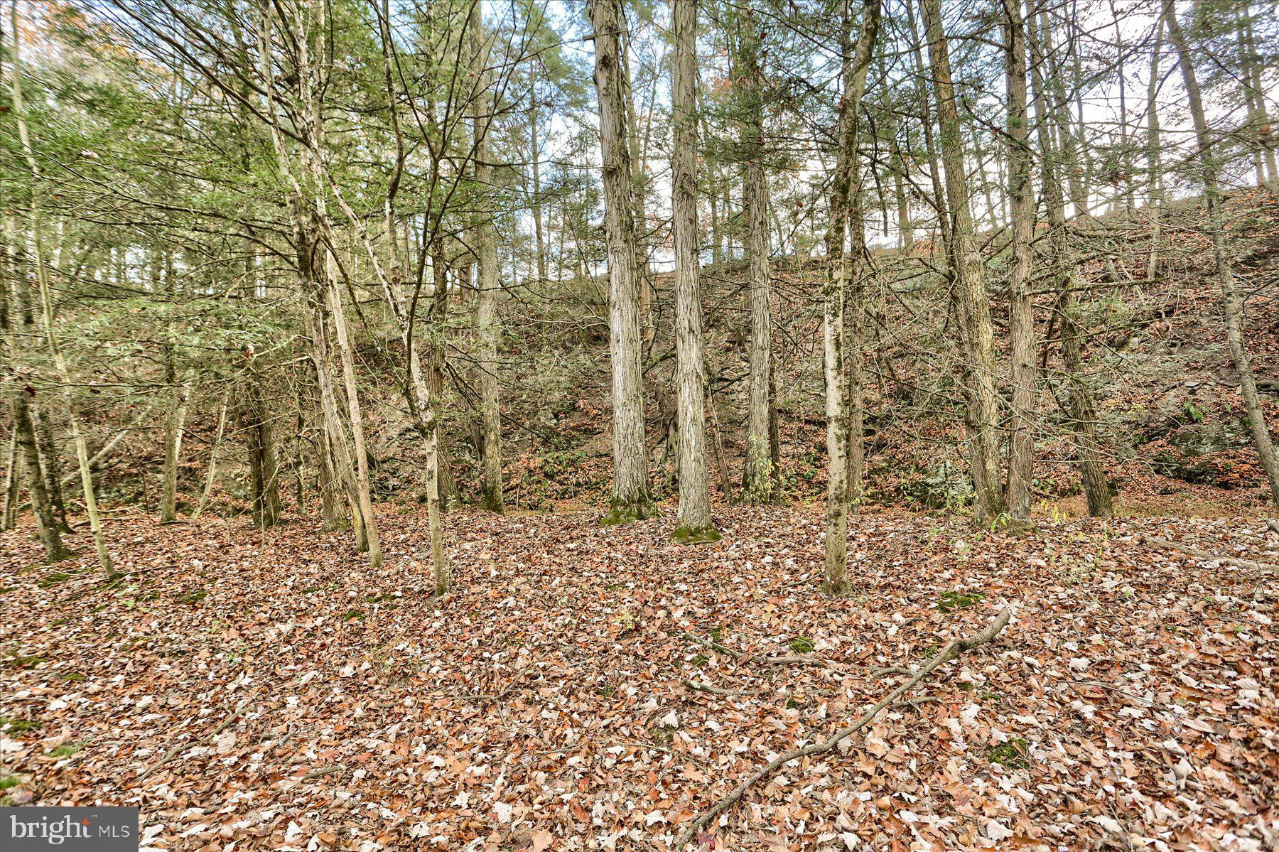 Lot 2 Union Deposit Road Harrisburg, PA 17111 - Photo 13 of 25 Gallery Image 13