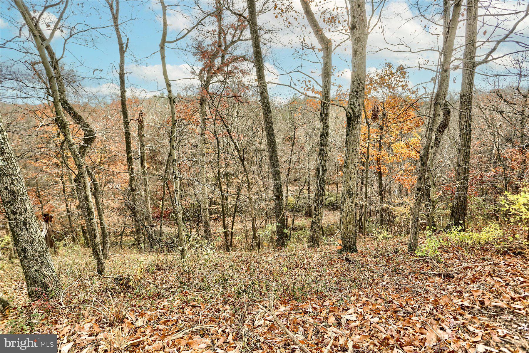 Lot 2 Union Deposit Road Harrisburg, PA 17111 - Photo 9 of 25 Gallery Image 9