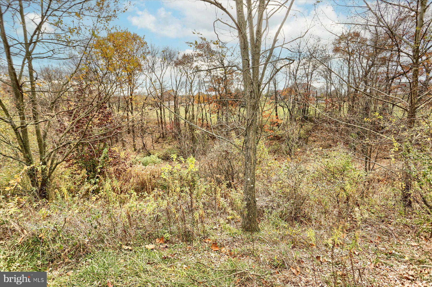 Lot 2 Union Deposit Road Harrisburg, PA 17111 - Photo 10 of 25 Gallery Image 10