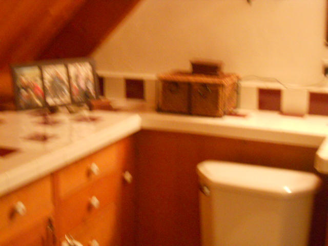 611 Charles Street Ridgway, CO 81432 - Photo 11 of 16 DSCN1233 (640x480)