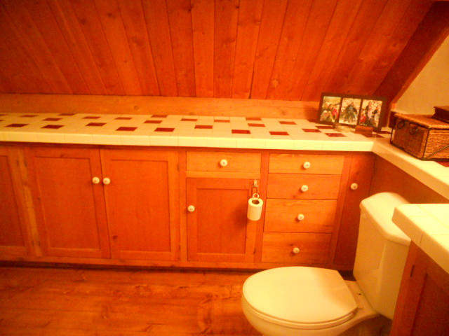 611 Charles Street Ridgway, CO 81432 - Photo 12 of 16 DSCN1234 (640x480)
