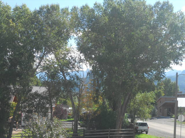 611 Charles Street Ridgway, CO 81432 - Photo 10 of 16 DSCN1232 (640x480)
