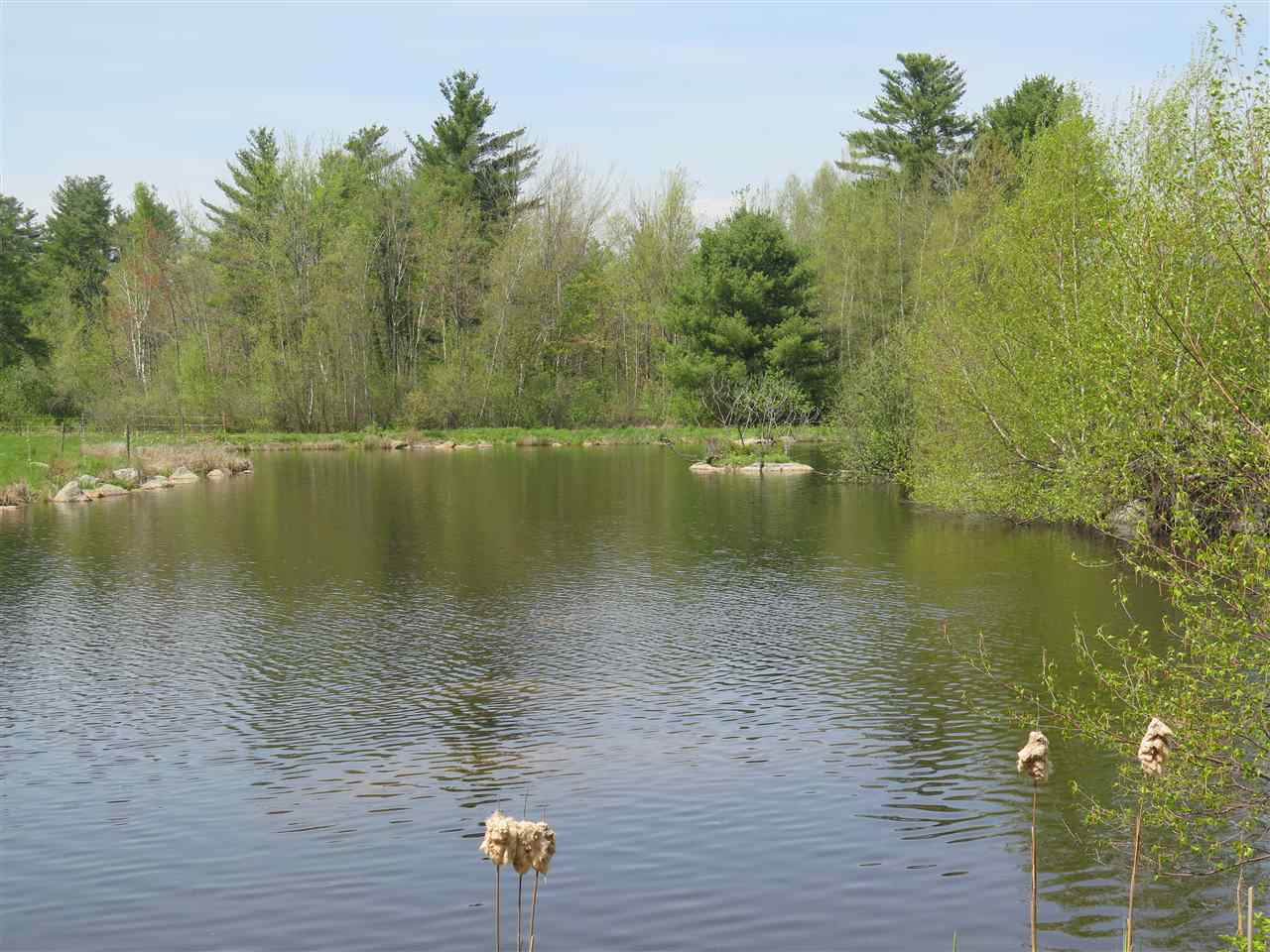 2581 East Washington Road Washington, NH 03280 - Photo 36 of 37