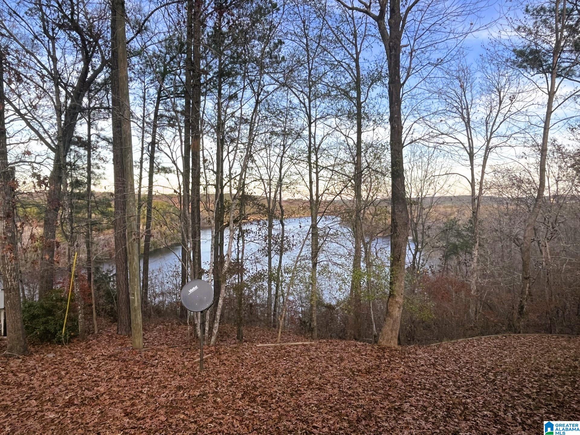 901 Old Patton Ferry Road Adger, AL 35006 - Photo 3 of 38