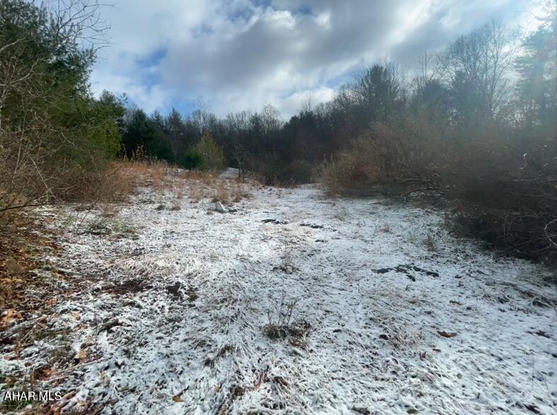 Lot Duvall Duvall Road Crystal Spring, PA 15536 - Photo 5 of 6
