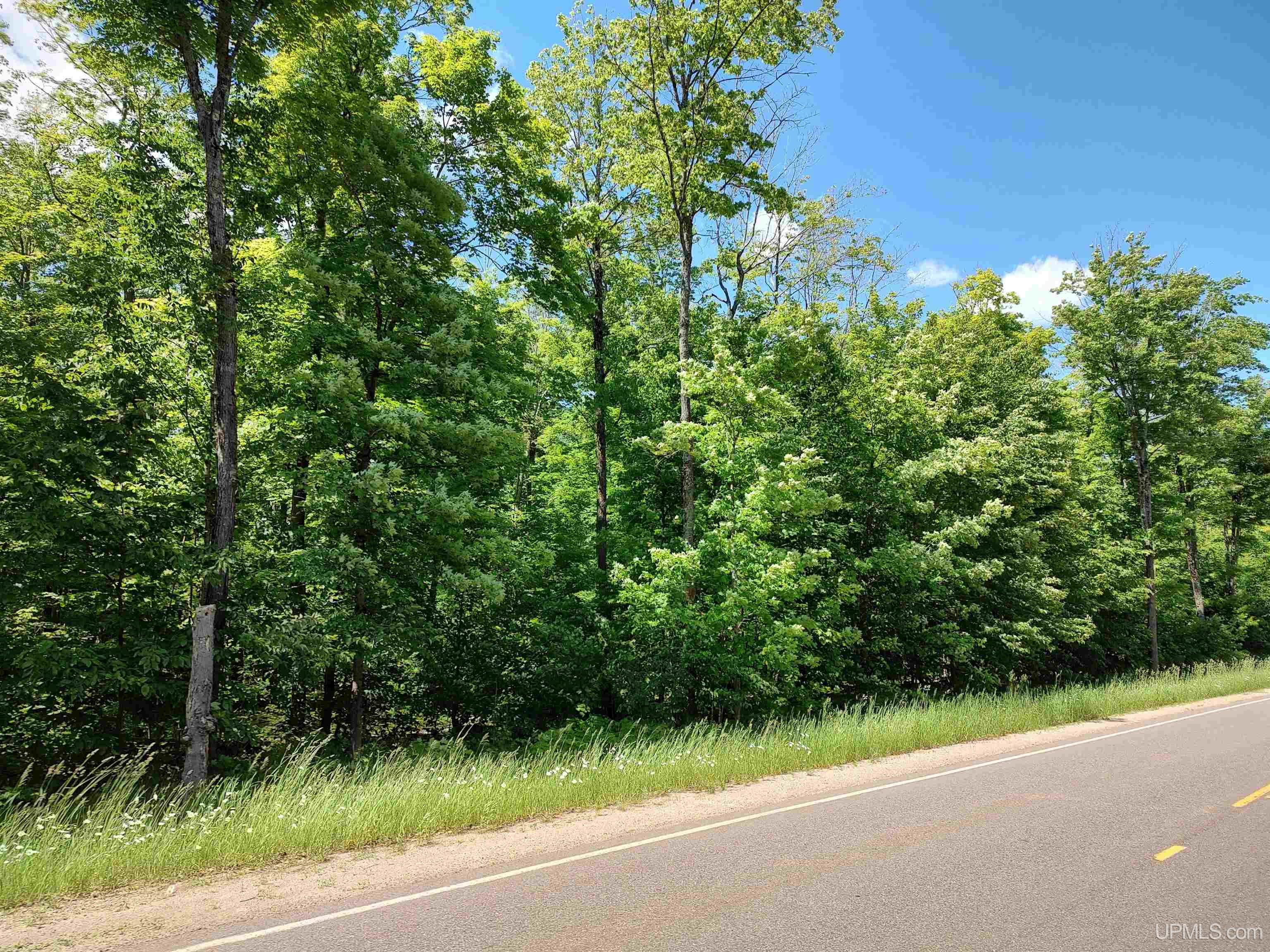 16 Mile Lake Road Munising, MI 49862 - Photo 6 of 12 Gallery Image 6