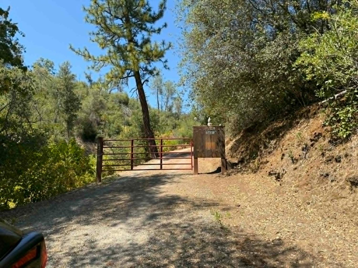 4441 Mountain Ranch Road San Andreas, CA 95249 - Photo 11 of 30