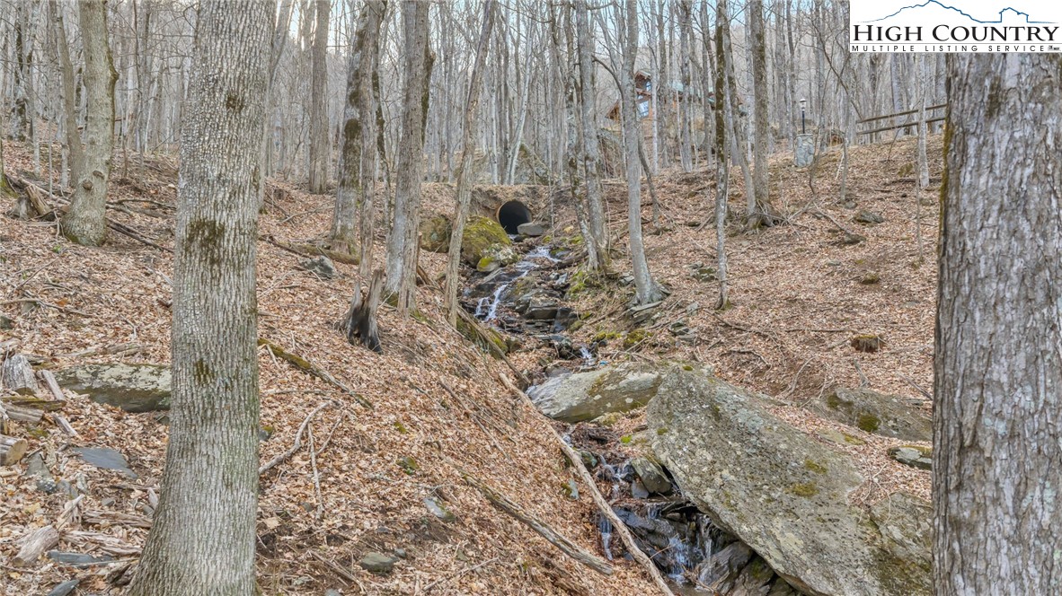 632 Big Tree Road West Jefferson, NC 28694 - Photo 42 of 48 a bathroom with a shower curtain