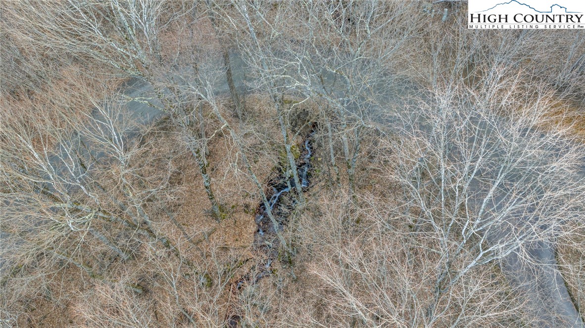 632 Big Tree Road West Jefferson, NC 28694 - Photo 43 of 48 a close up of a field