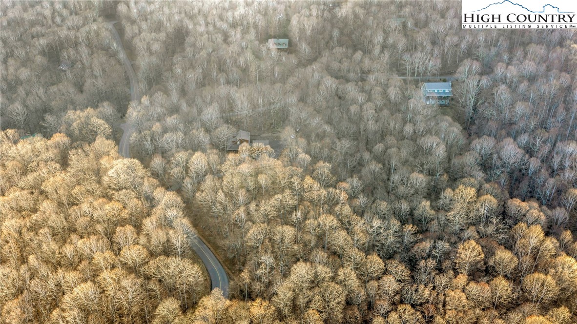 632 Big Tree Road West Jefferson, NC 28694 - Photo 48 of 48 a close view of window