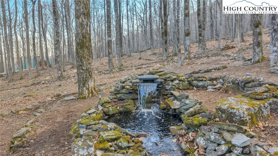 632 Big Tree Road West Jefferson, NC 28694 - Photo 7 of 48