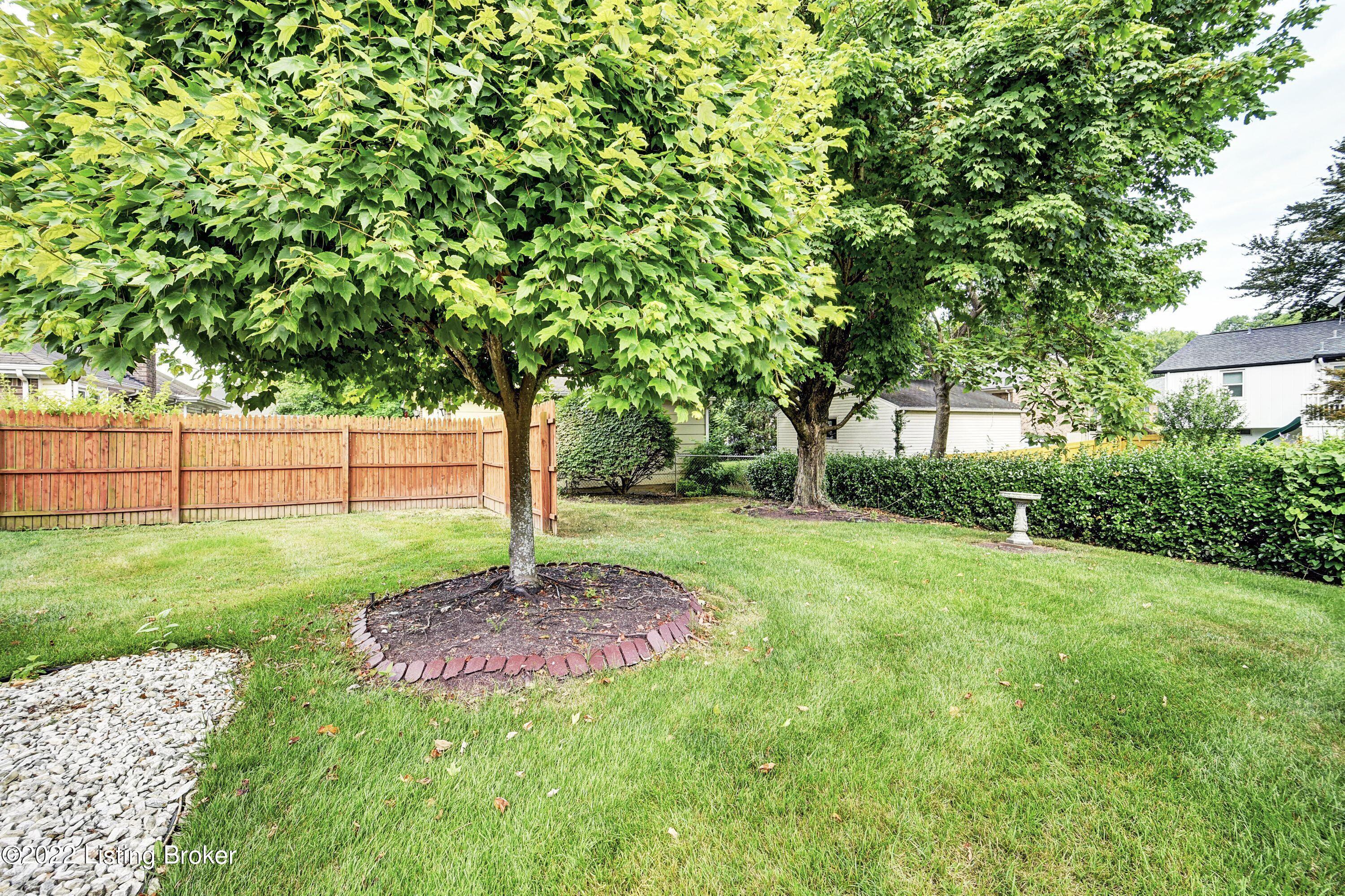 6707 Windhurst Road Louisville, KY 40207 - Photo 8 of 36 Beautifully Landscaped Yard.