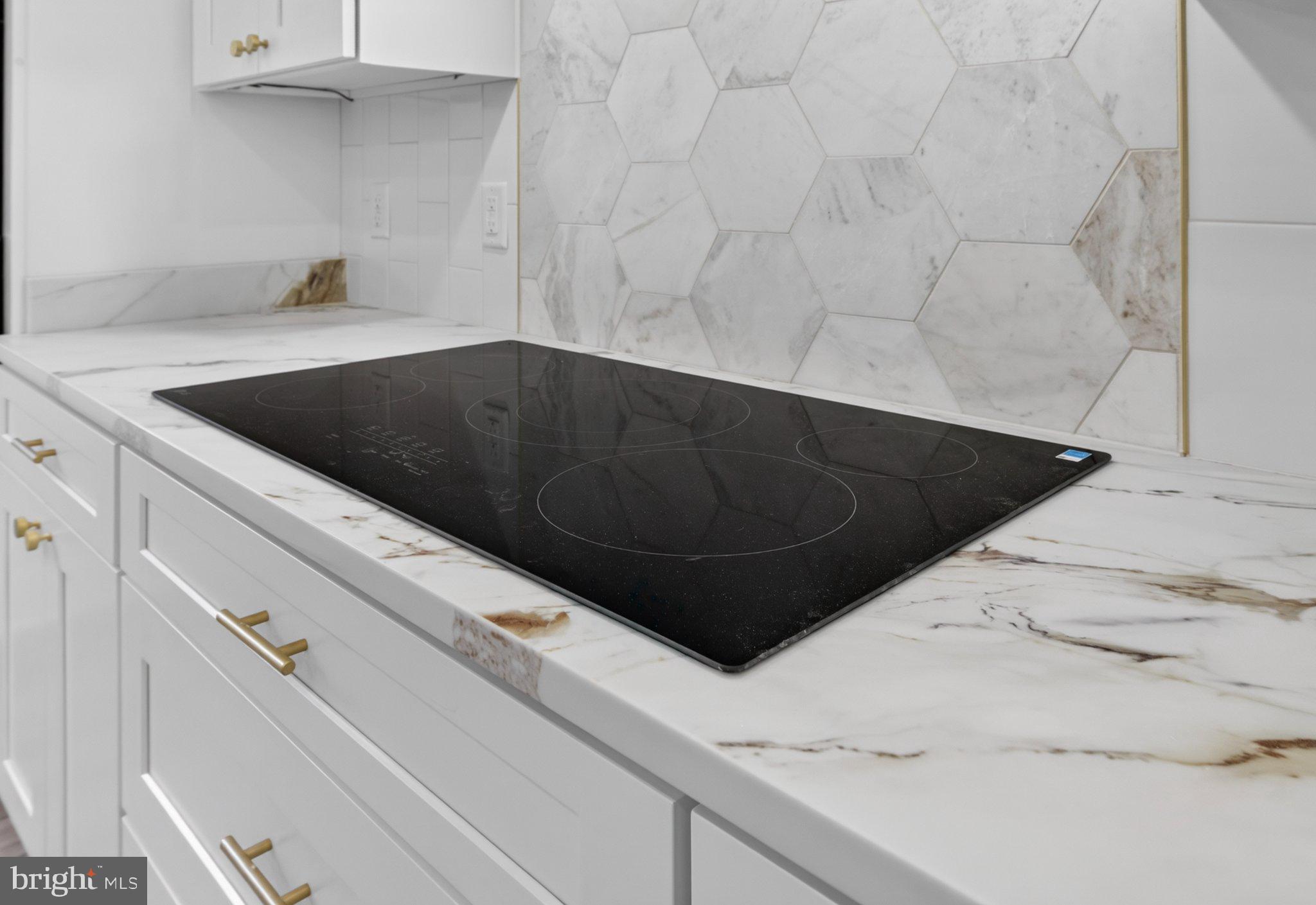 972 Days Bridge Road Mineral, VA 23117 - Photo 78 of 109 Sleek kitchen with modern elegance.