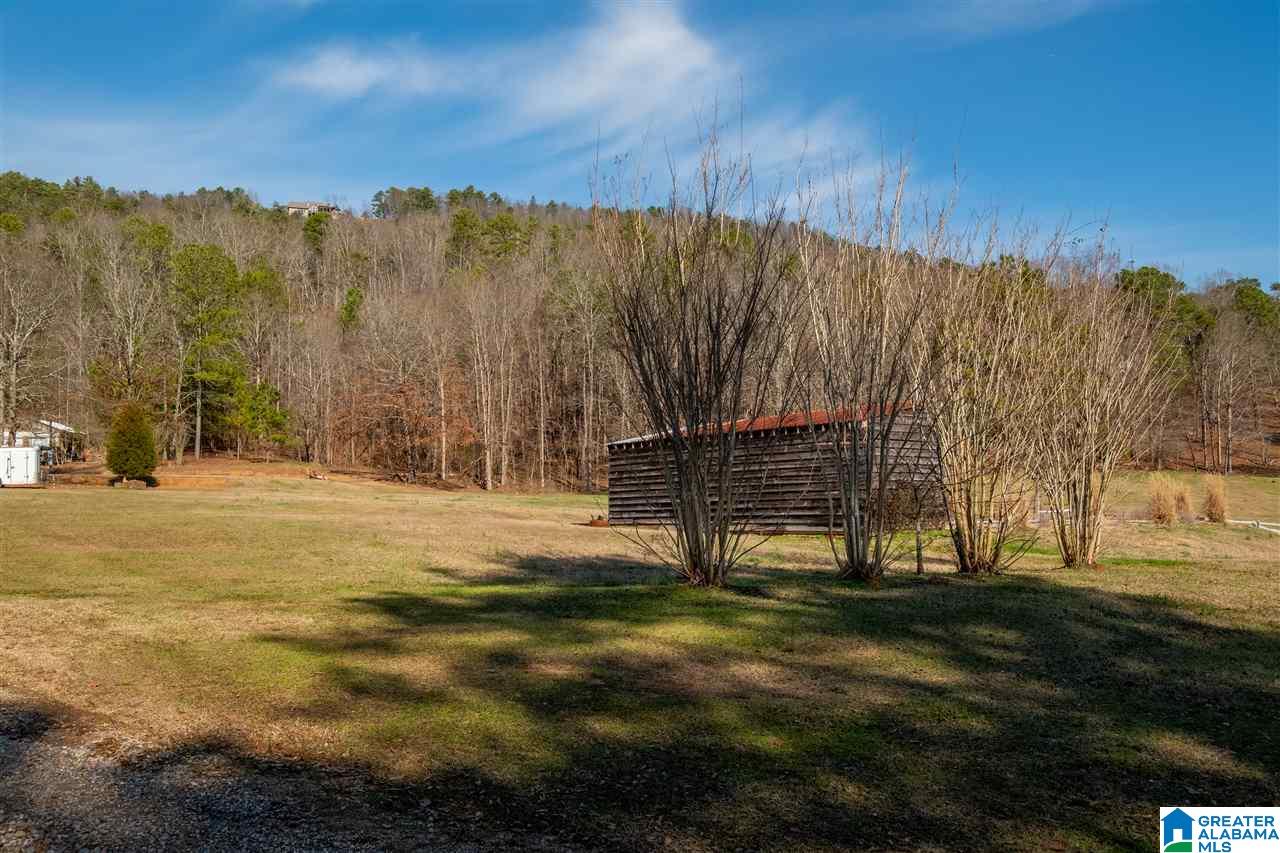 1220 Canoe Creek Road Springville, AL 35146 - Photo 25 of 27