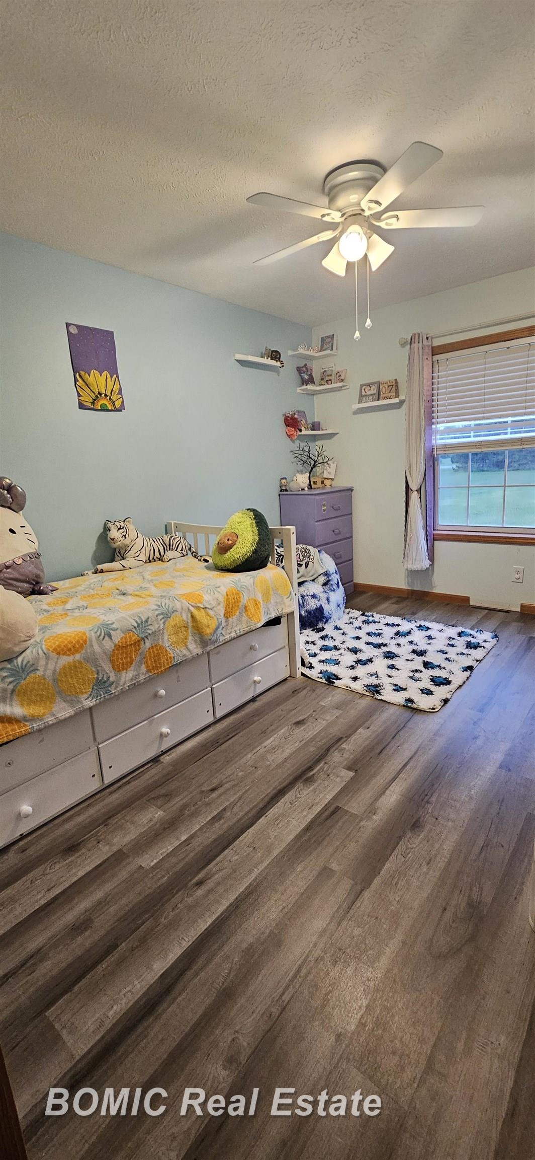 3485 Chambers Road Caro, MI 48723 - Photo 11 of 19