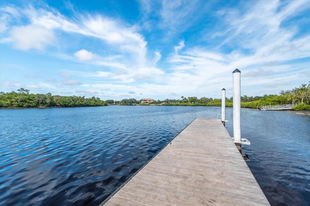 12418 24th Street East Parrish, FL 34219 - Photo 58 of 59