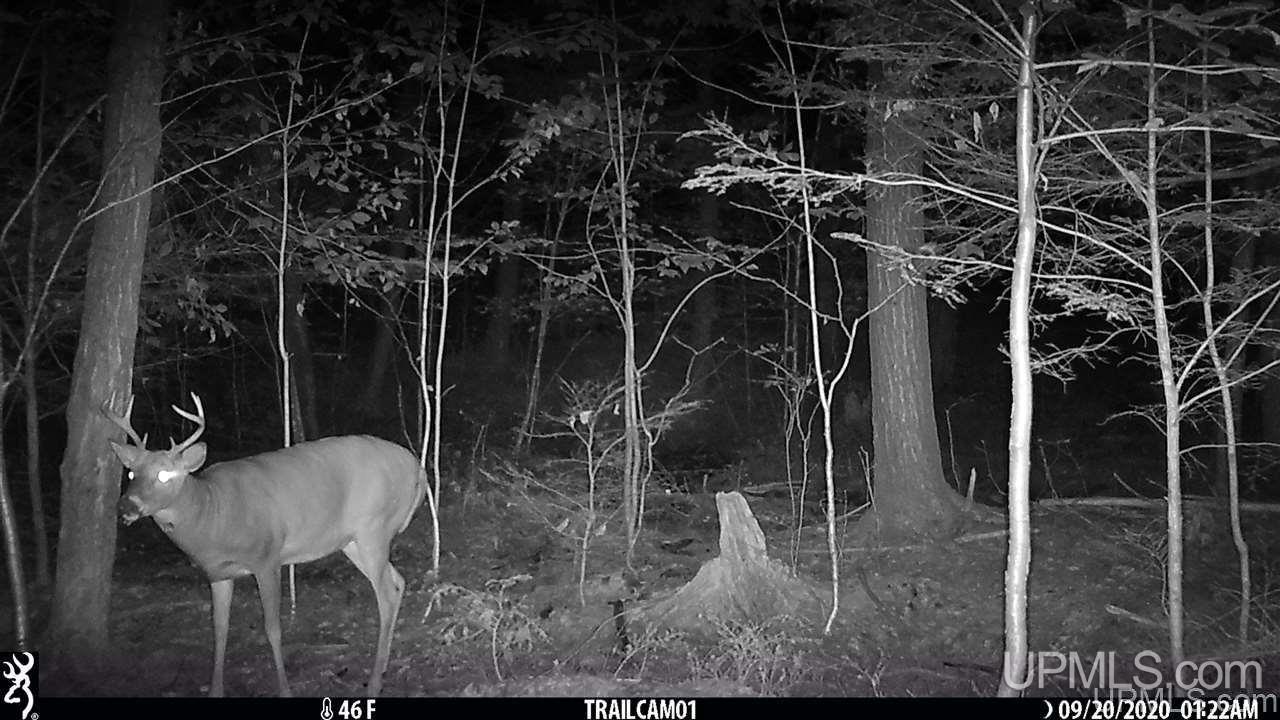 Co Road Daggett, MI 49887 - Photo 4 of 12