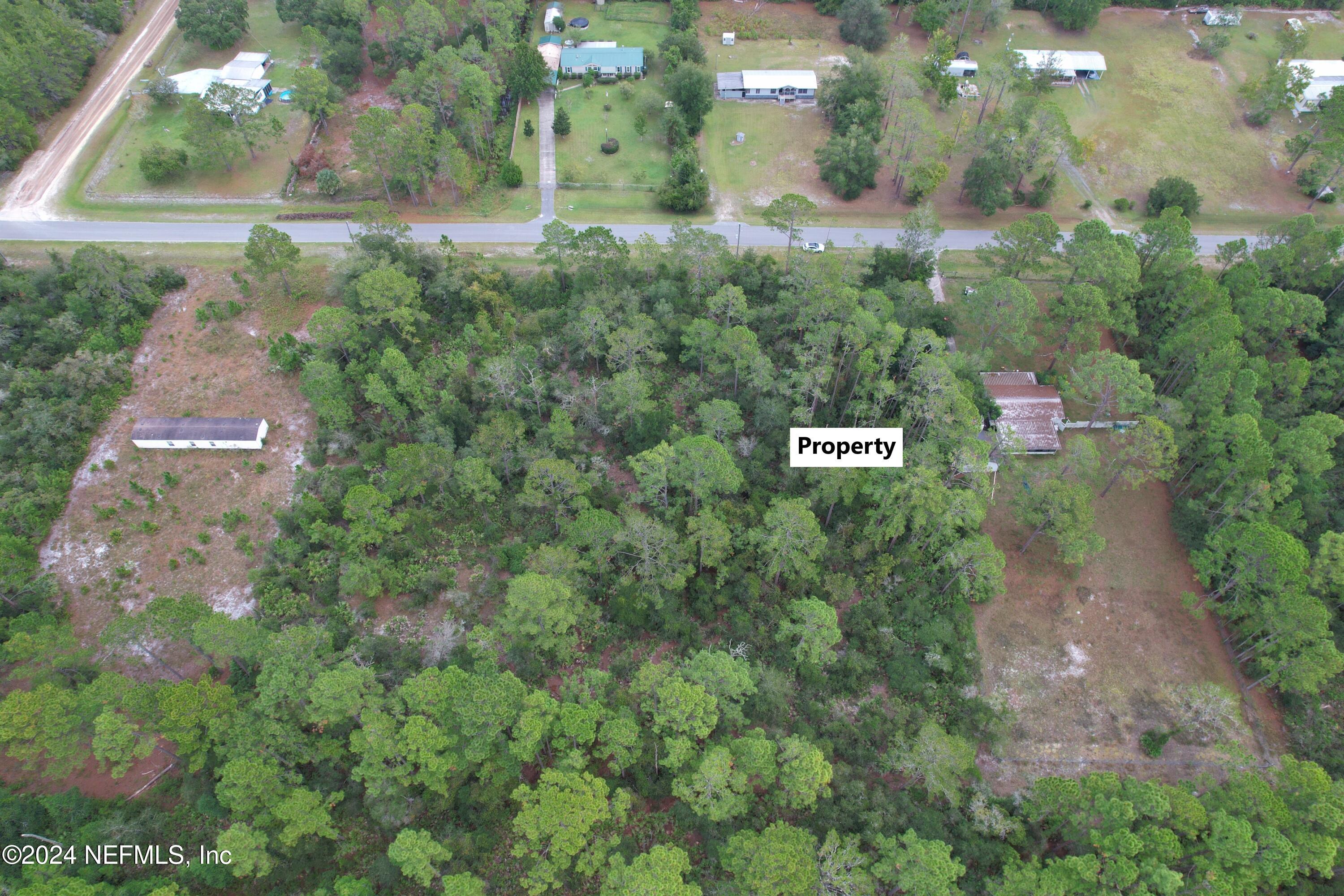 117 Whispering Pines Road Georgetown, FL 32139 - Photo 3 of 13 a view of a garden with a tree