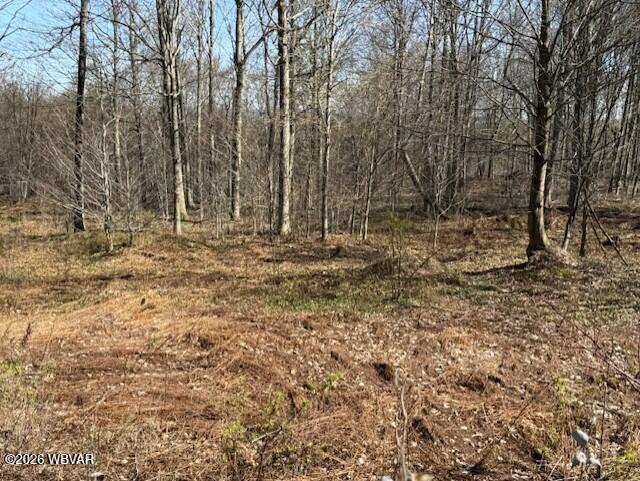 31 Glory Rdg Road Shunk, PA 17768 - Photo 9 of 10 Parcel 031 Glory Ridge Rd. Shunk View (8