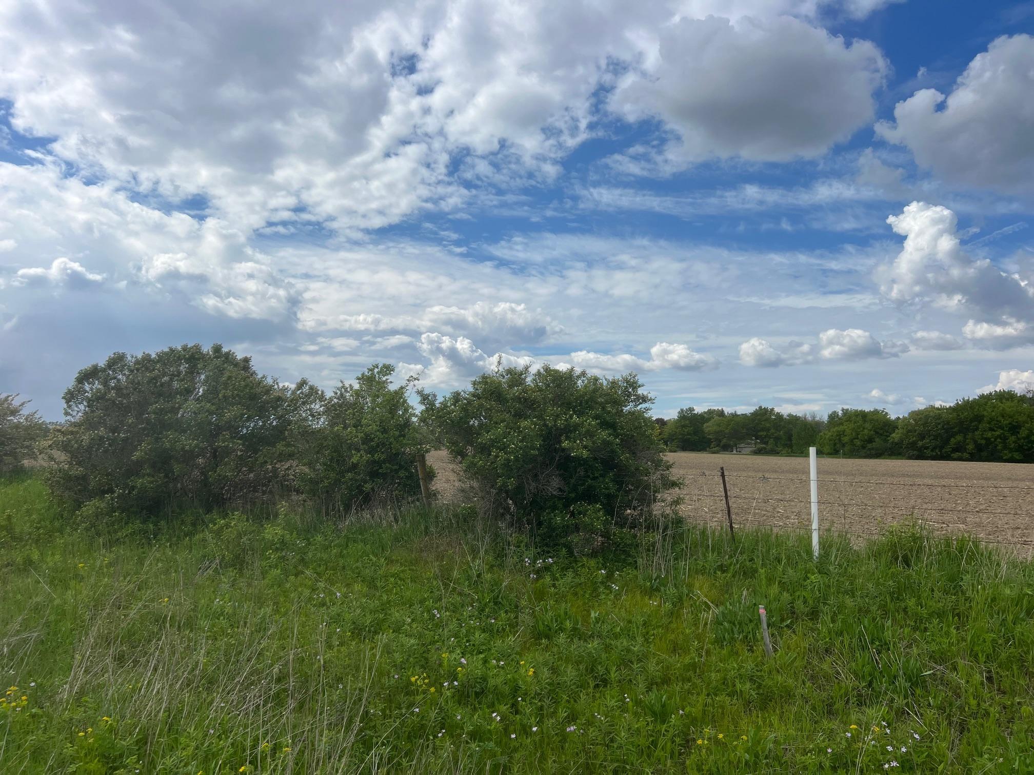 56 Highway 56 Le Roy, MN 55951 - Photo 8 of 26