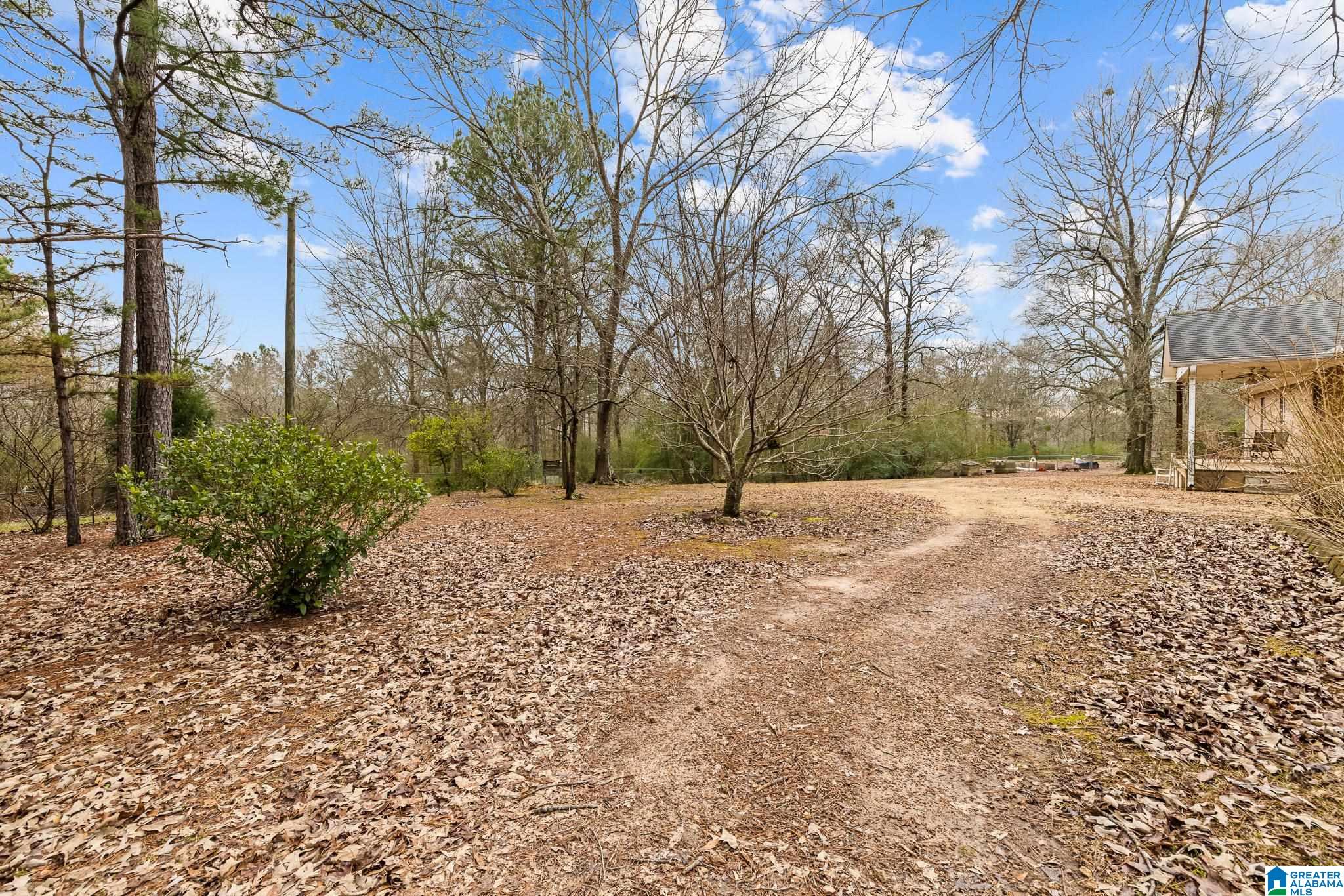 814 Deer Trace Road Pell City, AL 35125 - Photo 5 of 40