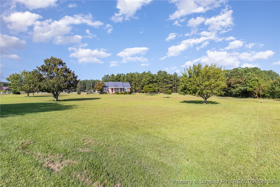 50 Hilltop Road Broadway, NC 27505 - Photo 15 of 16 Gallery Image 15