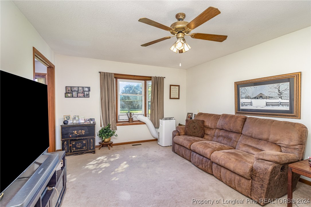 50 Hilltop Road Broadway, NC 27505 - Photo 3 of 16 Gallery Image 3