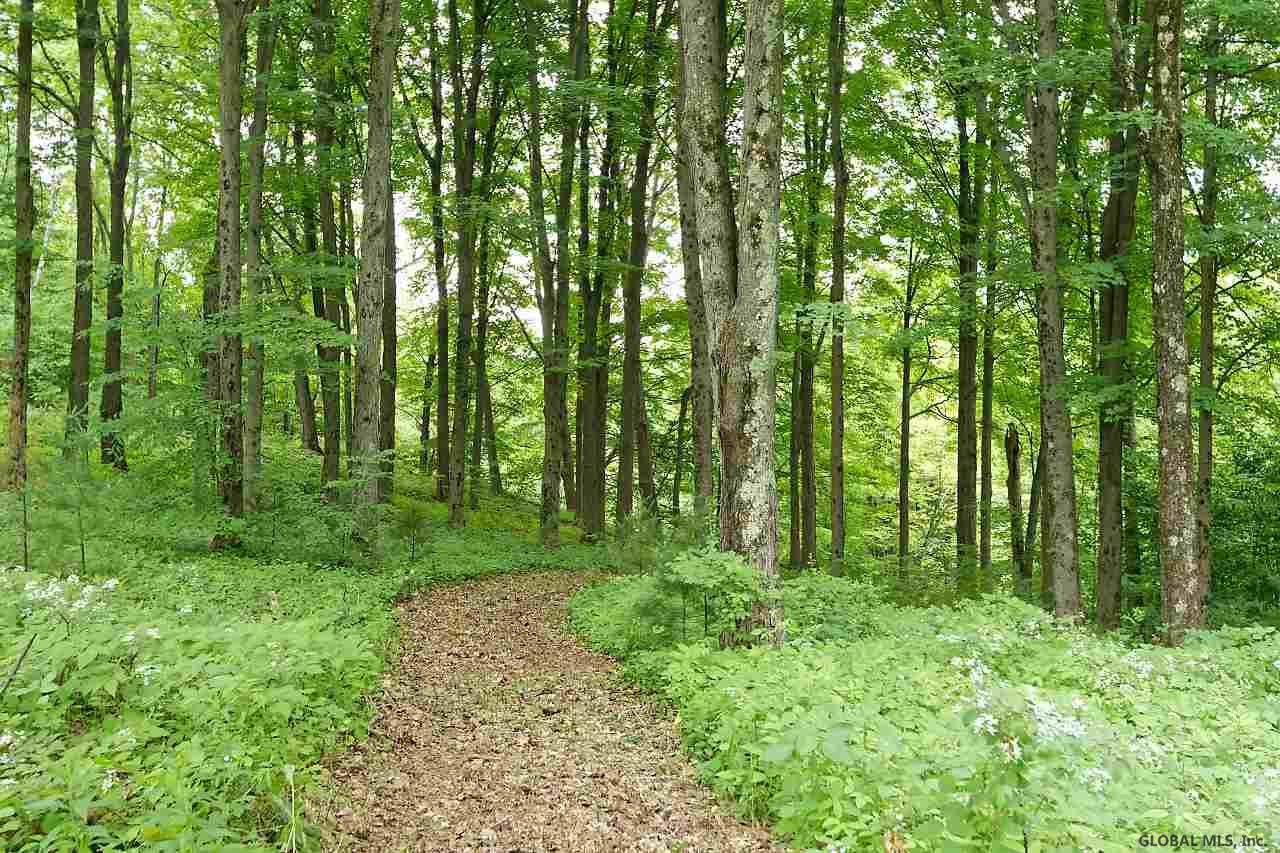 47 Vines Road Charlton, NY 12019 - Photo 58 of 61 Photo 59