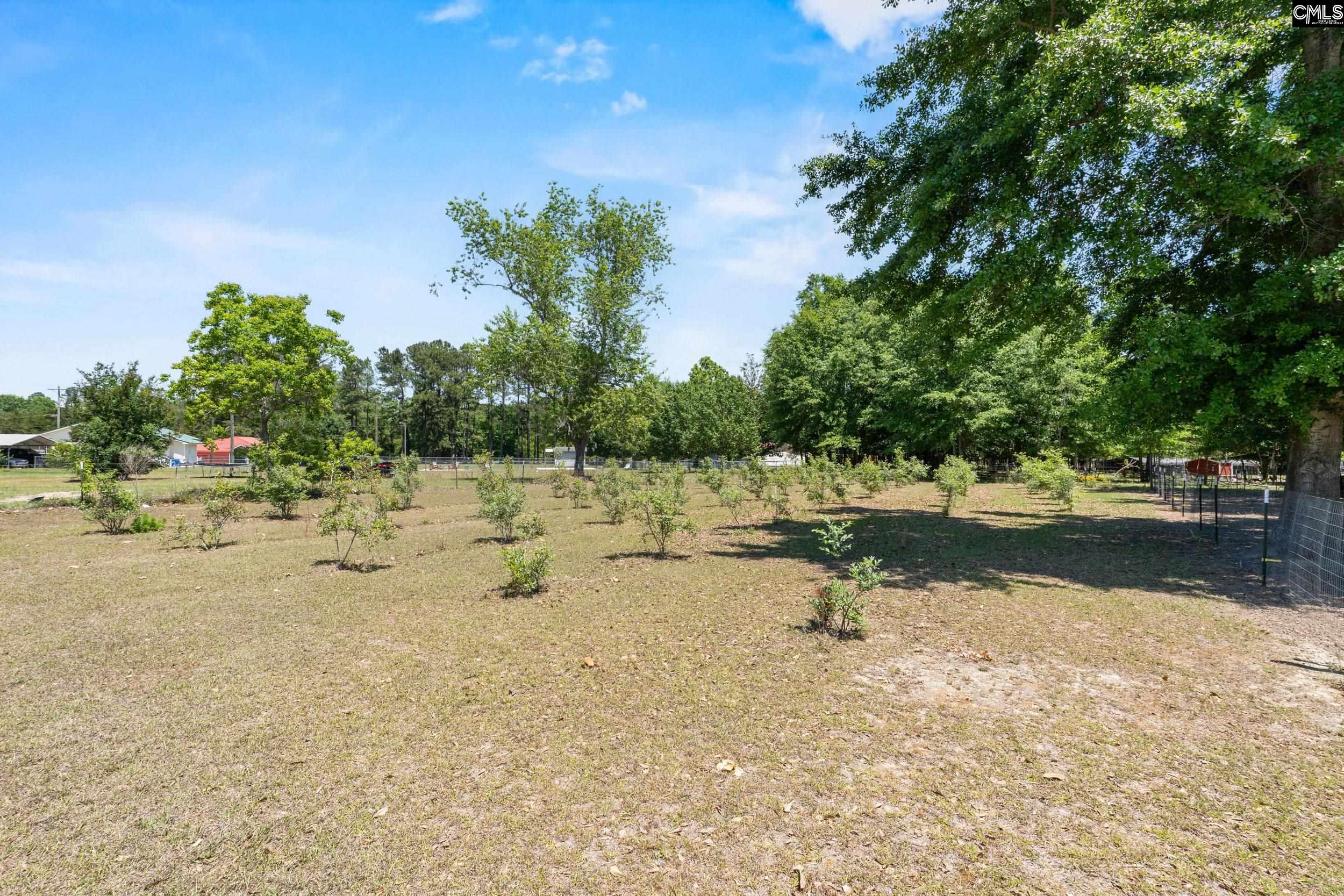 1633 Shillings Bridge Road Orangeburg, SC 29115 - Photo 26 of 43