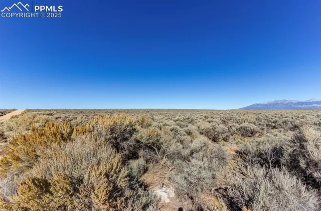 a view of city and green space